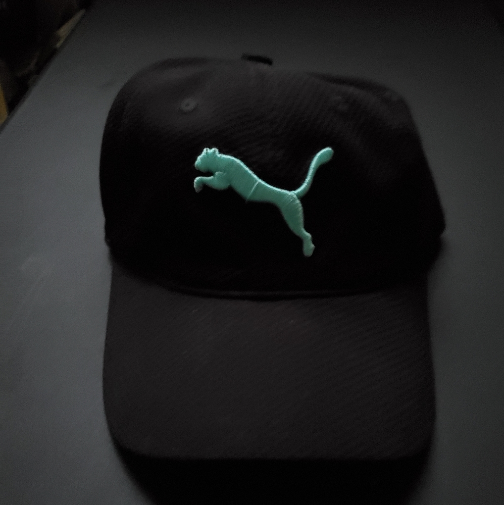 Puma hat